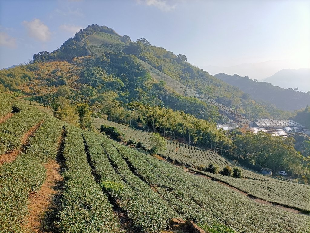 IMG20210130084730.jpg - 雲嘉連峰之  太平山  梨子腳山