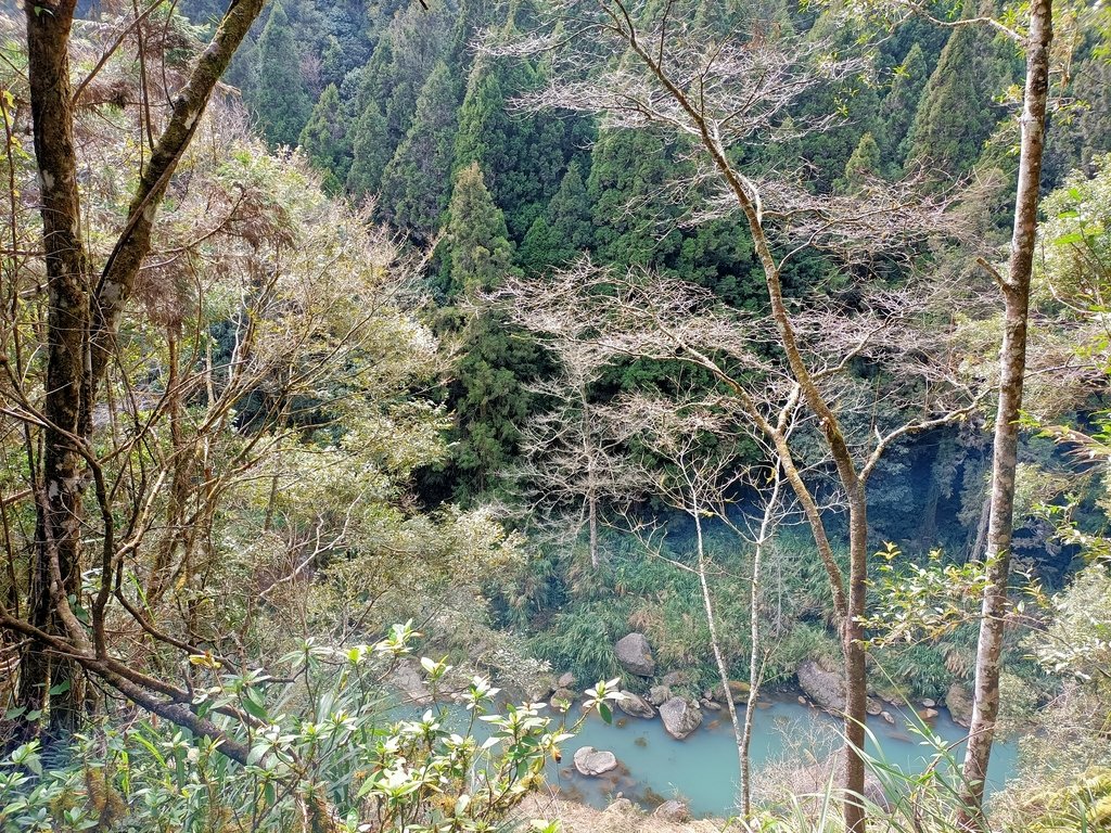 IMG20210205130717.jpg - 竹山  杉林溪森林遊樂園  路過