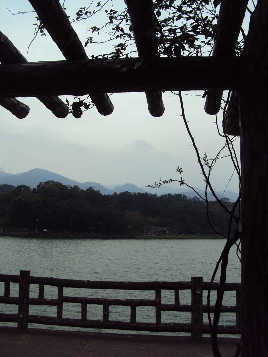 DSC04640.JPG - 內湖  碧湖環湖步道