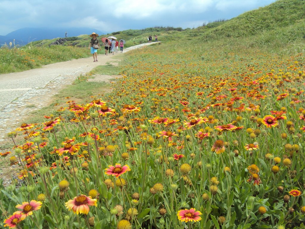 DSC08973.JPG - 富貴角燈塔步道