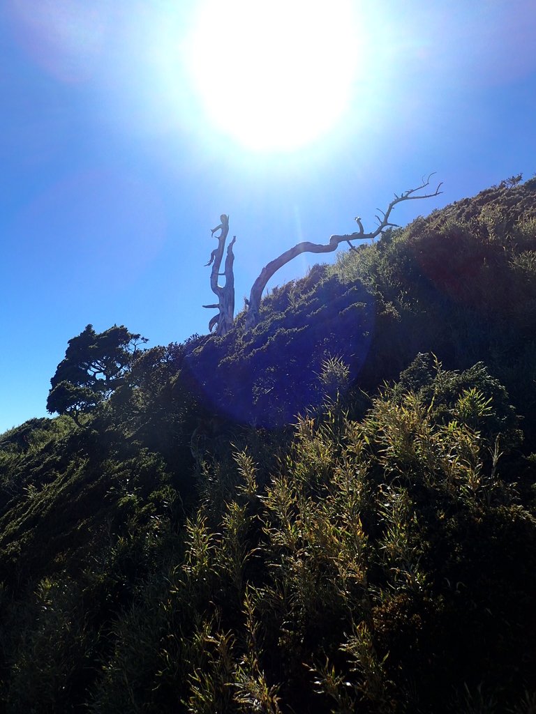 PC132110.JPG - 合歡山  東峰