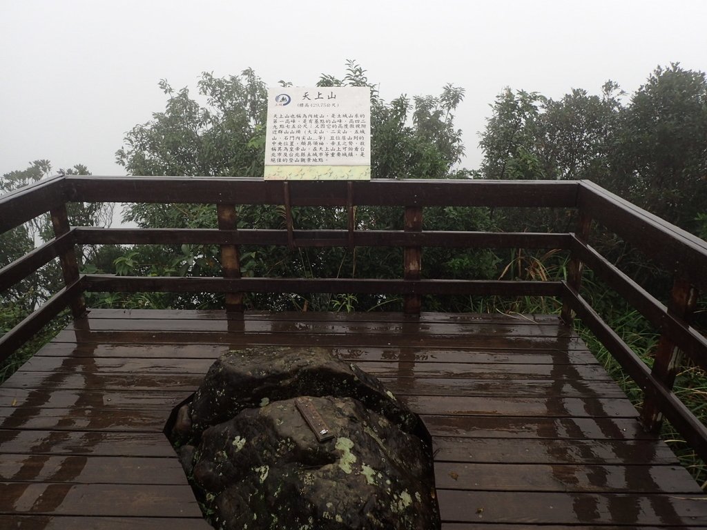 P1062067.JPG - 土城  天上山  登山步道