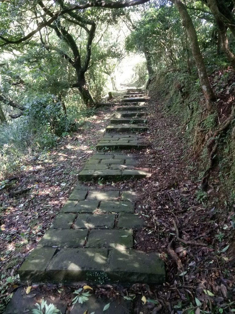 DSC_8775.JPG - 北投  中正山登山步道  02