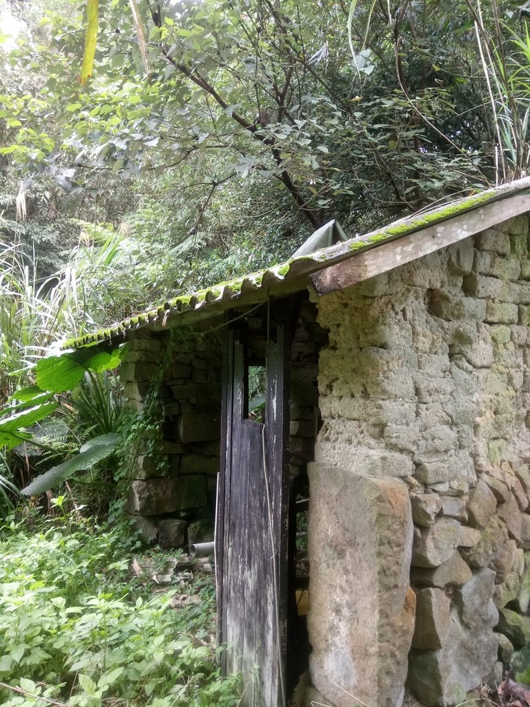 DSC_8484.JPG - 深坑  炮子崙登山步道