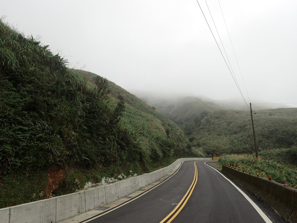 P1203539.JPG - 瑞芳  牡丹山