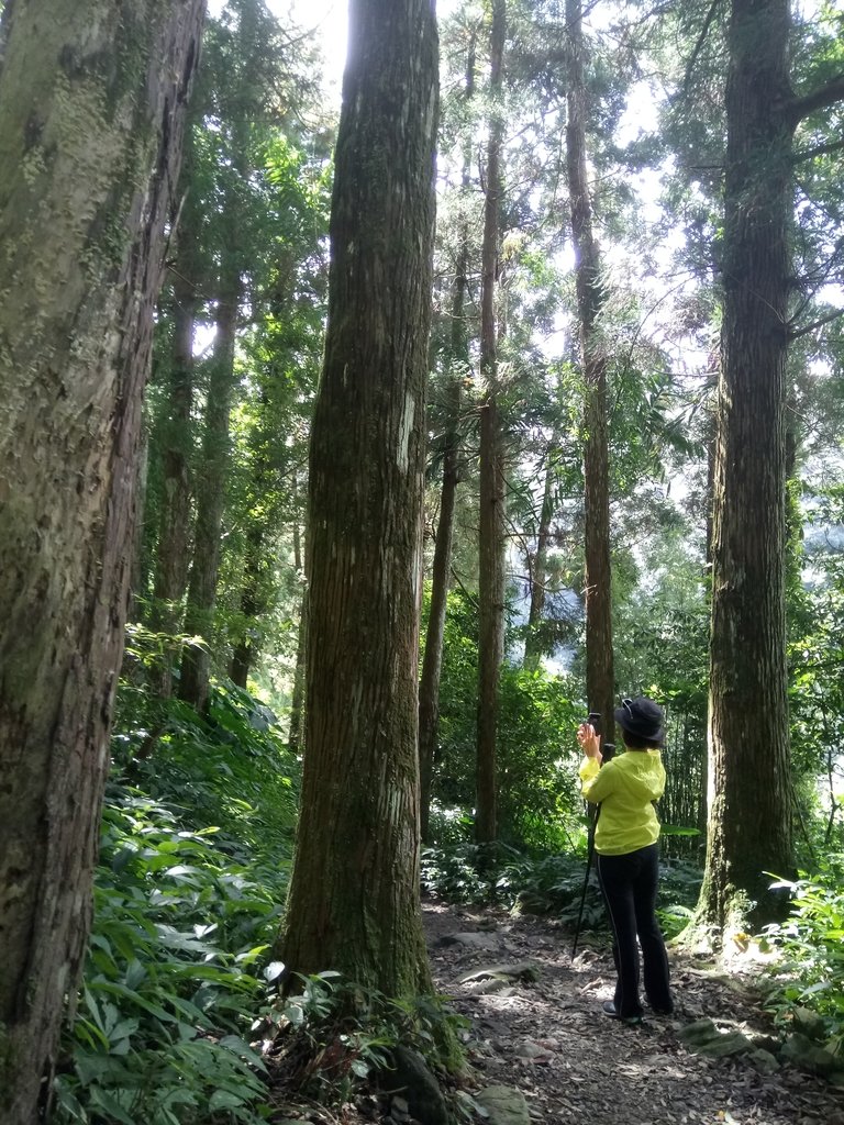 DSC_4169.JPG - 再訪---  三峽  雲森瀑布