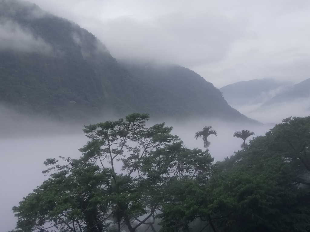 DSC_1146.JPG - 古坑  草嶺  雲山繚繞