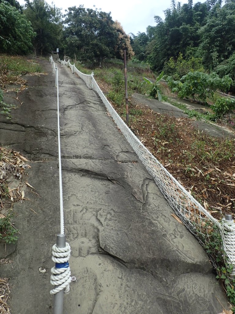 PA231646.JPG - 草嶺  茄苳步道  峭壁雄風