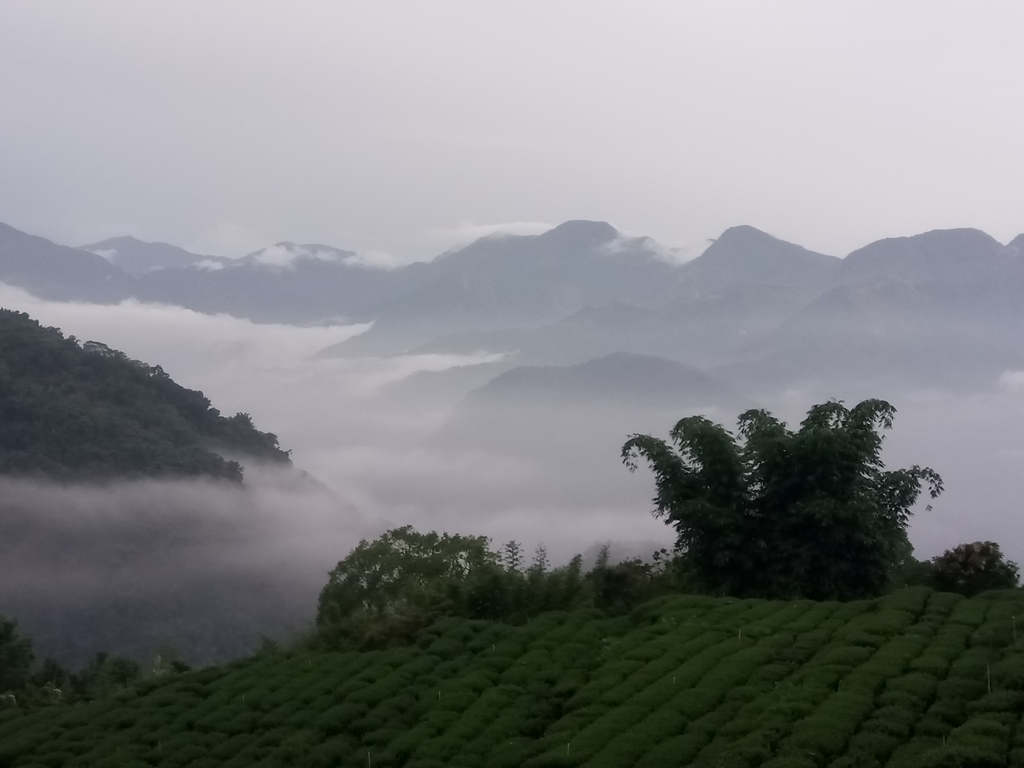 DSC_1381.JPG - 石壁途中之   茶山雲雨