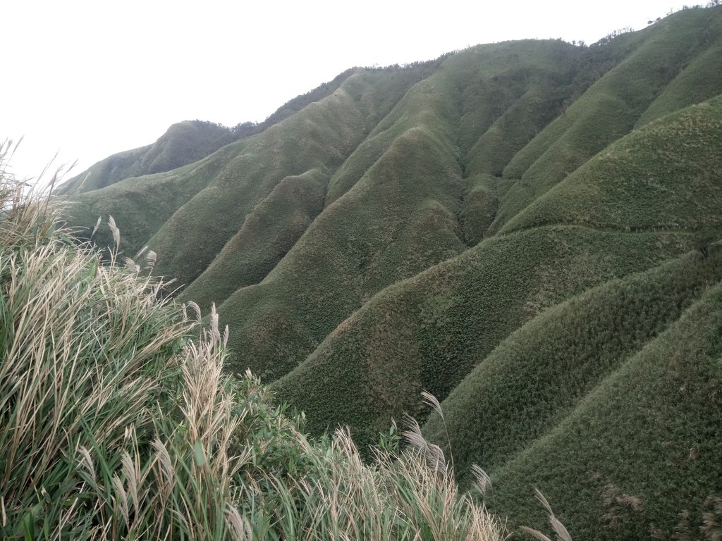 DSC_2823.JPG - 礁溪  聖母登山步道  (抹茶山)