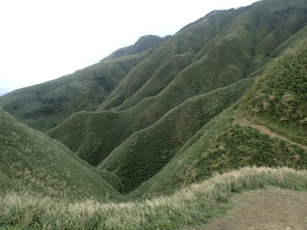 PB159043.JPG - 礁溪  聖母登山步道  (抹茶山)