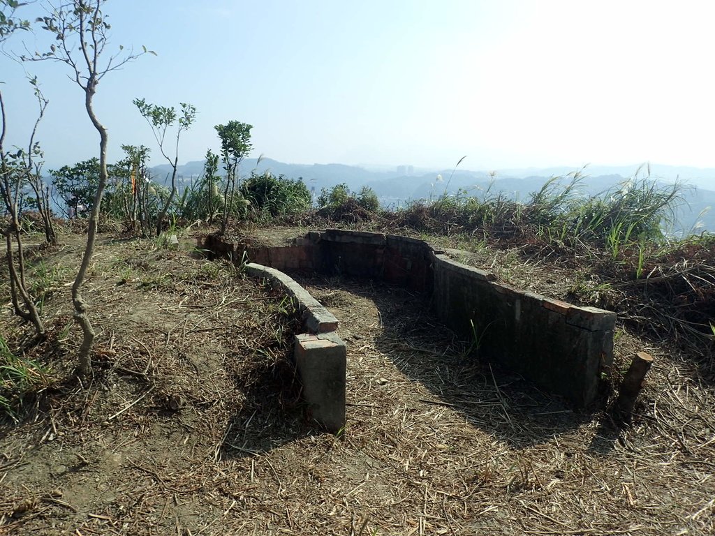 PB179544.JPG - 基隆  球子山(火號山)步道