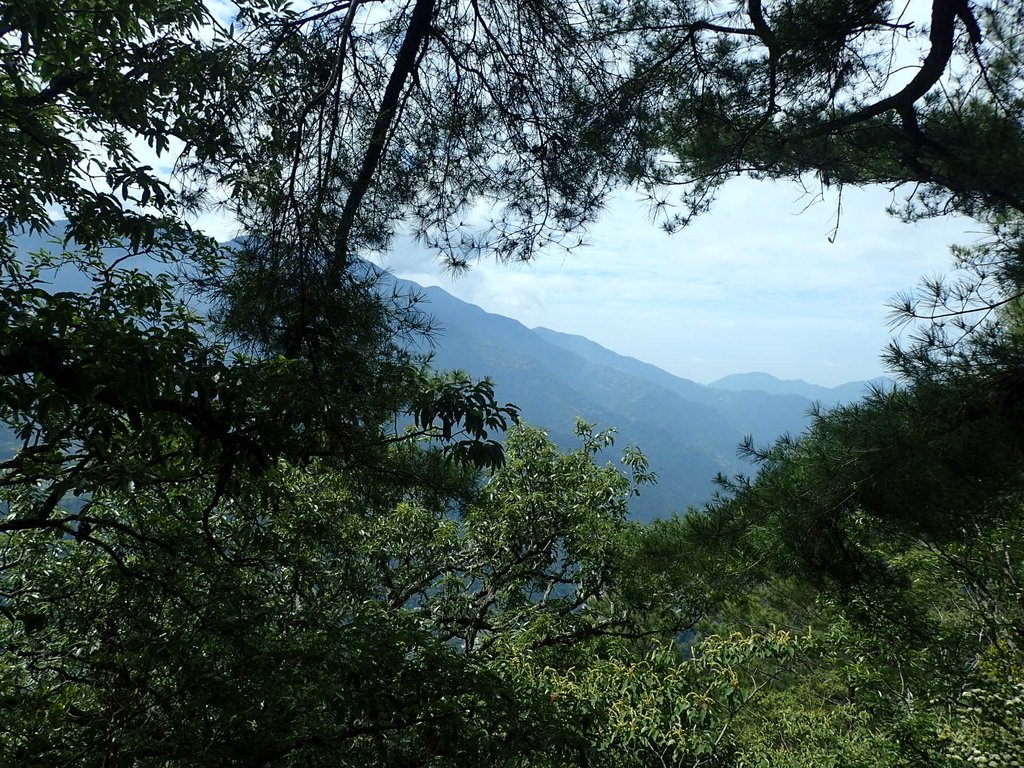 P5012310.JPG - 谷關七雄之  波津加山