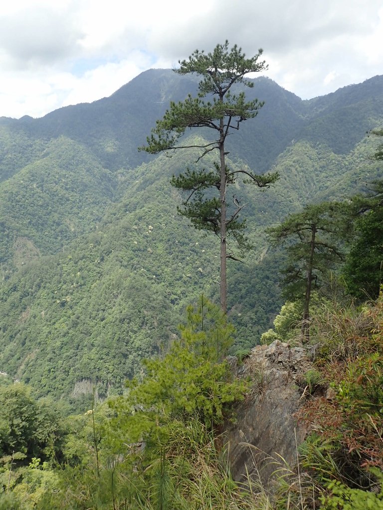 P5012347.JPG - 谷關七雄之  波津加山