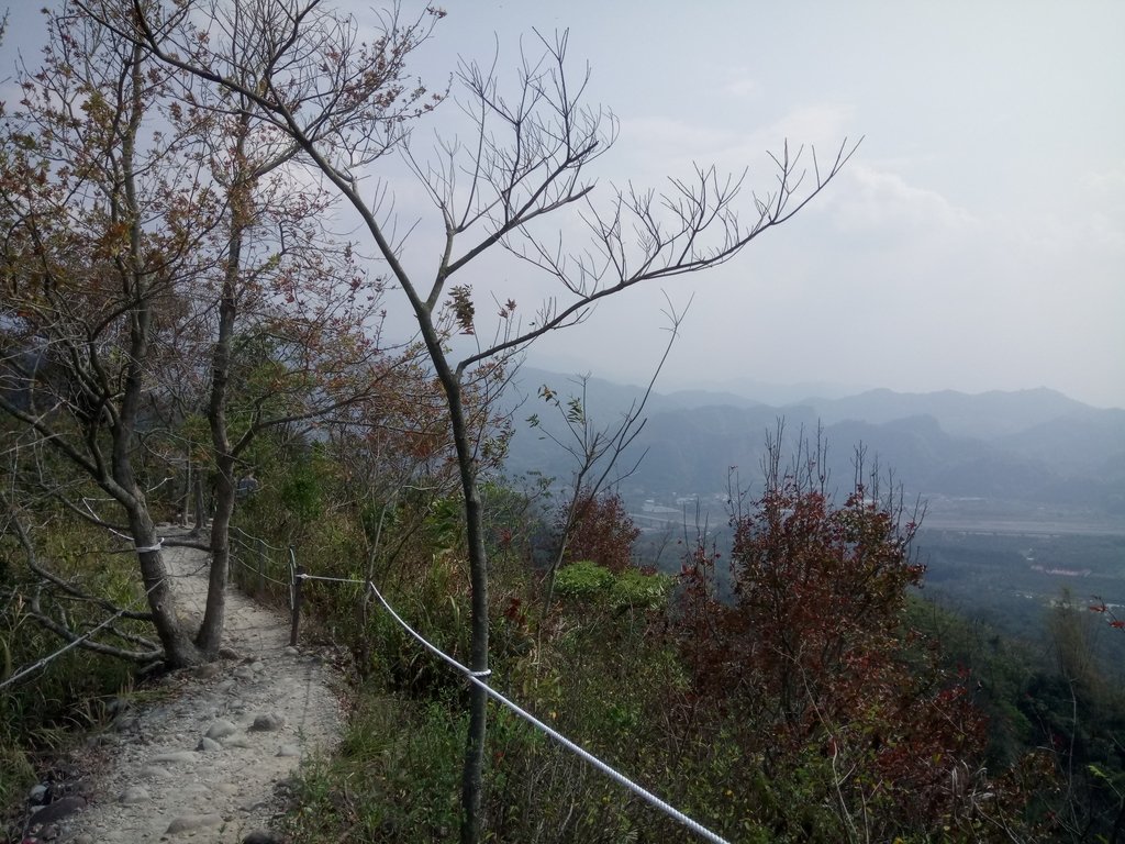 DSC_7325.JPG - 草屯平林  九九峰森林步道