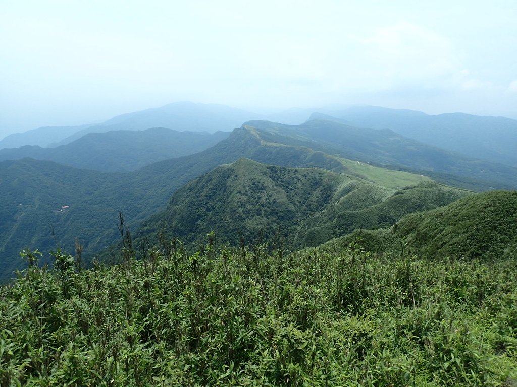 P5258782.JPG - 貢寮  桃源谷  灣坑頭山