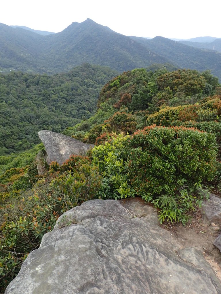 P3160089.JPG - 汐止  柯子林山  如意湖