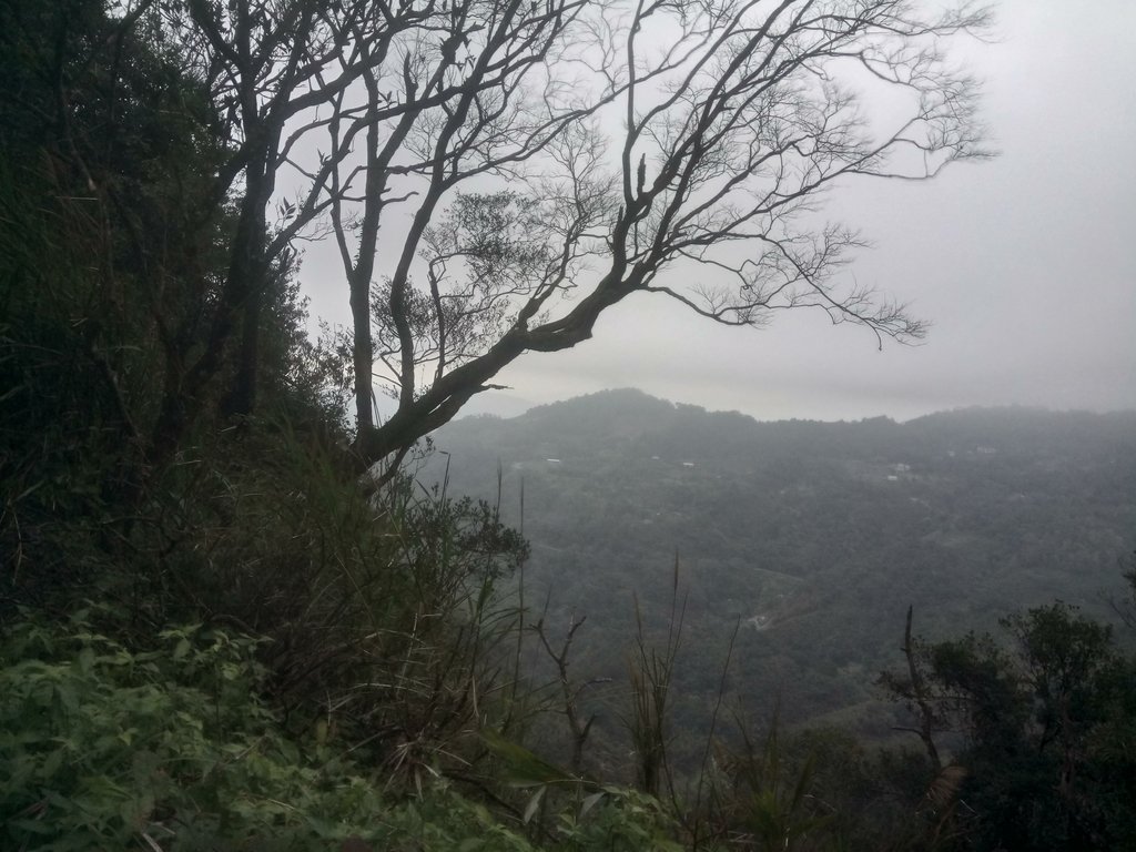 DSC_2866.JPG - 大湖  關刀山步道  (聖關段)