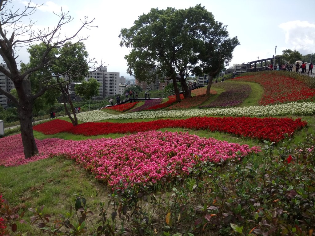 DSC_5440.JPG - 北投社  三層崎公園