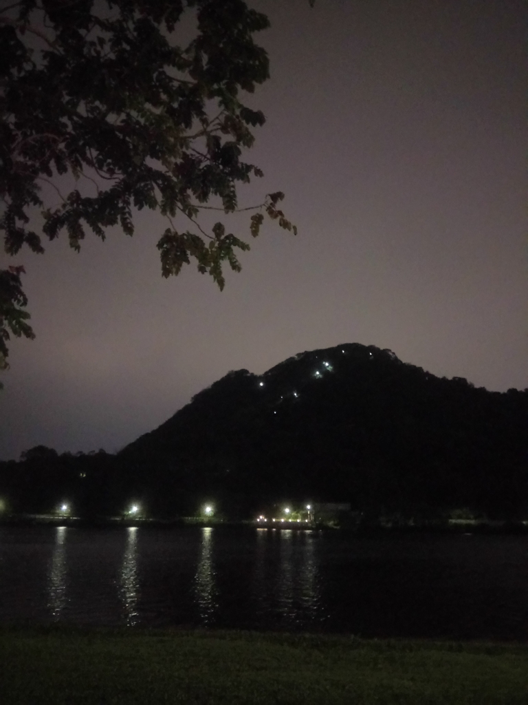 DSC_9320.JPG - 內湖  大湖公園之夜色