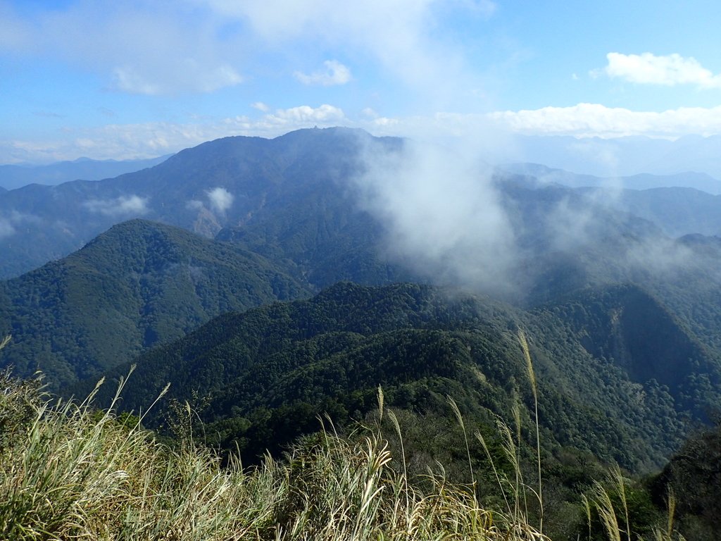 P2034867.JPG - 南庄  加里山