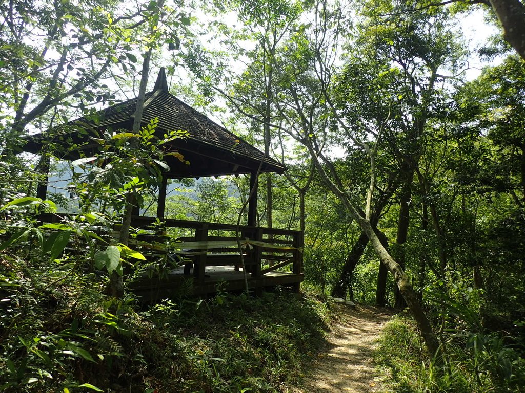 P4161405.JPG - 霧峰  青桐林生態園區