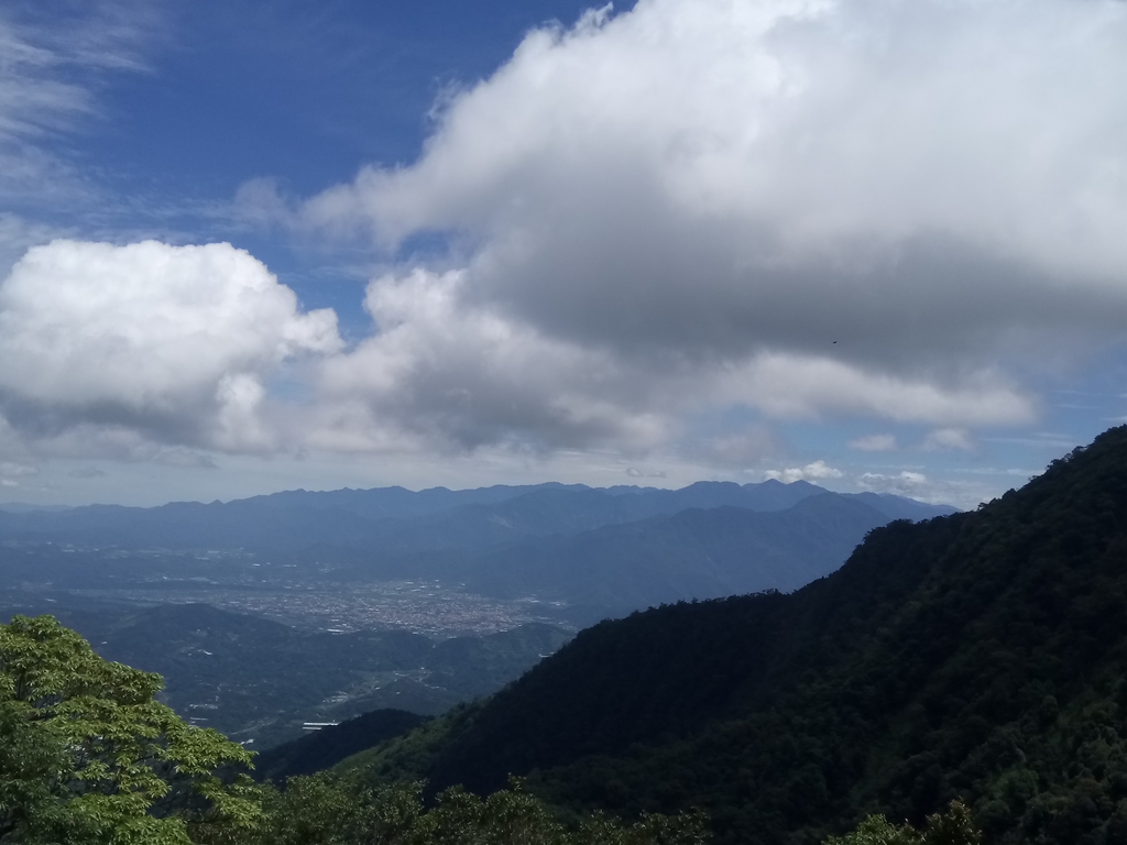 DSC_3838.JPG - 魚池  水社大山