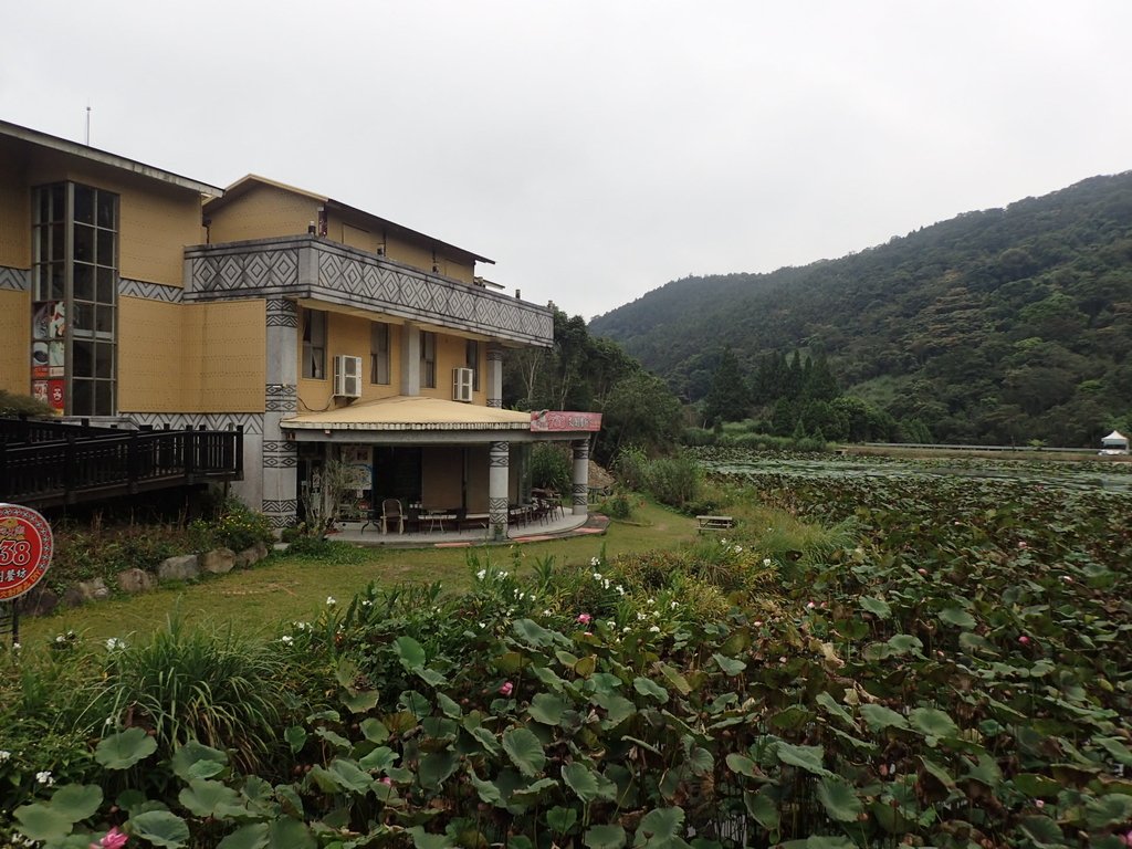 P9250257.JPG - 南庄  向天湖之  環湖步道