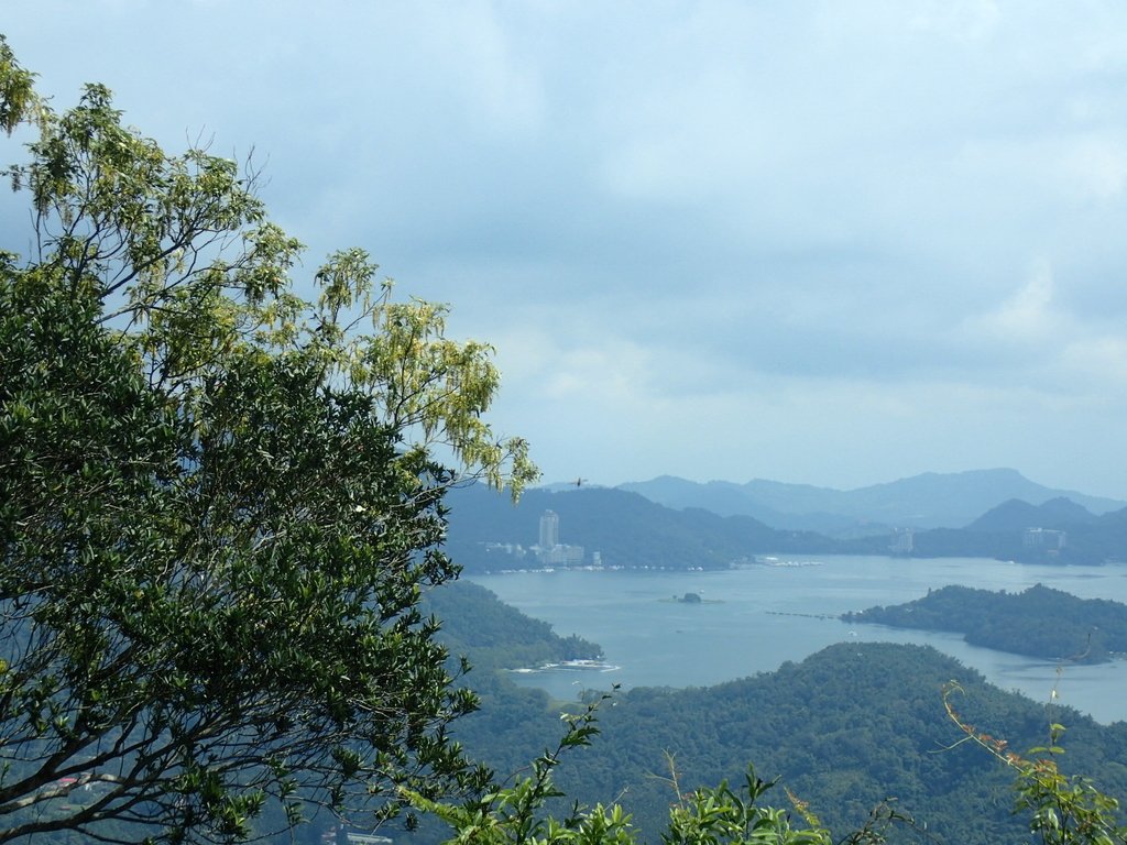 P9017443.JPG - 魚池  頭社  後尖山步道