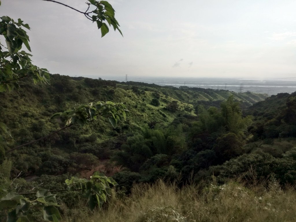 DSC_5808.JPG - 龍井  竹坑南寮登山步道