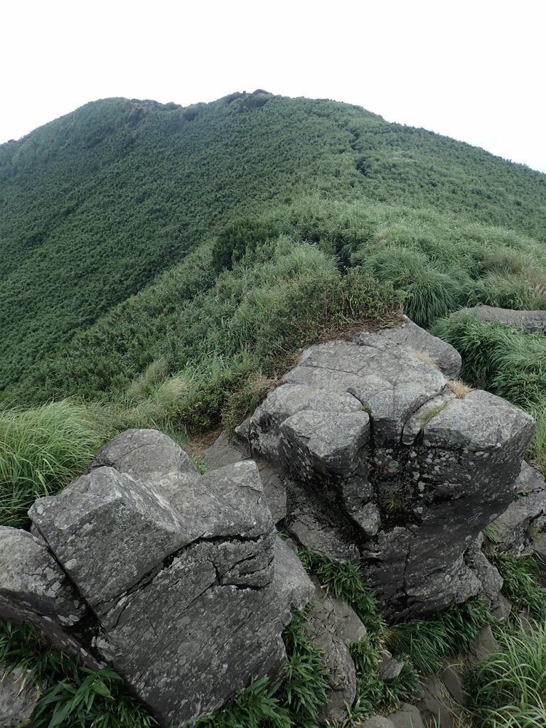 P7165510.JPG - 小觀音山  西峰登山步道