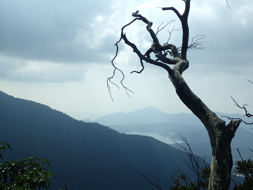 PA040491.JPG - 魚池  大尖山登山步道