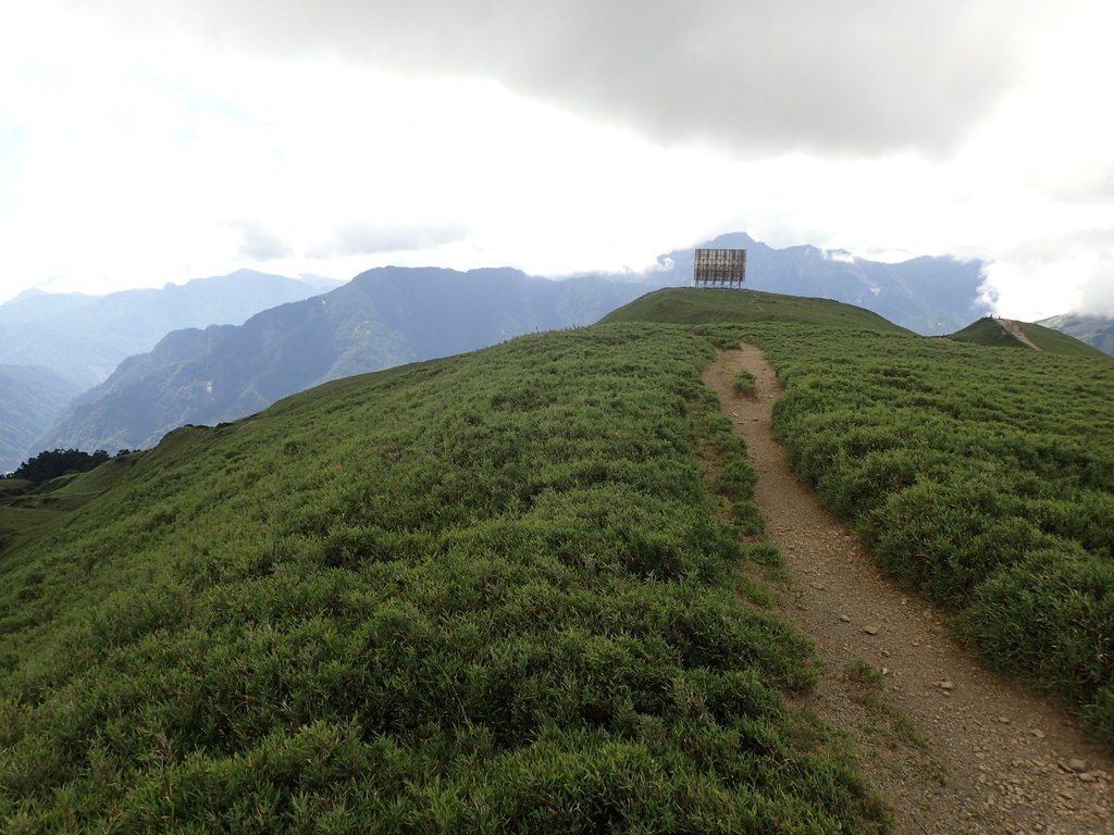 P7245984.JPG - 合歡山  北峰之美  (中)