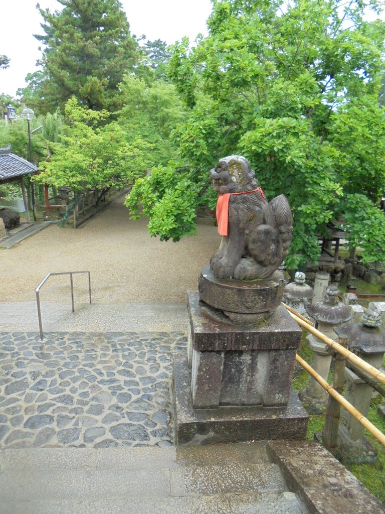 DSC03945.JPG - 奈良  冰室神社