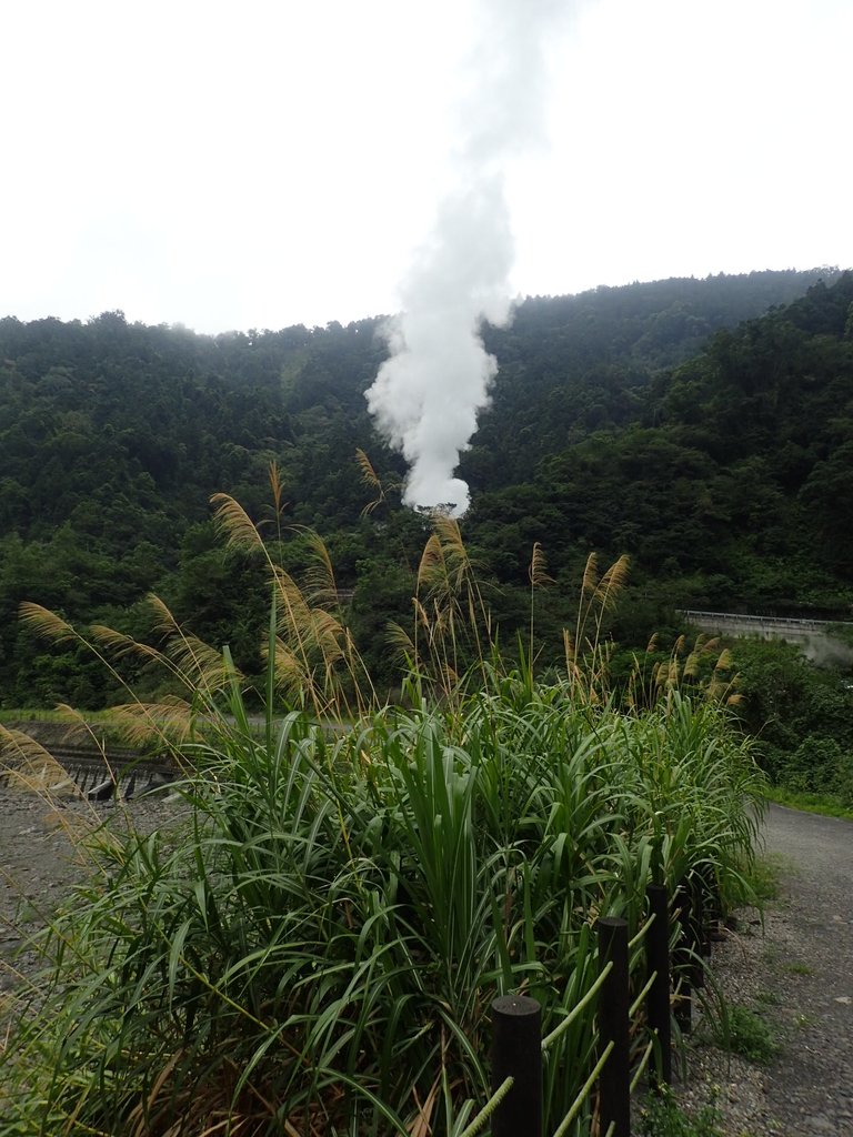 P8226894.JPG - 太平山  鳩之澤溫泉