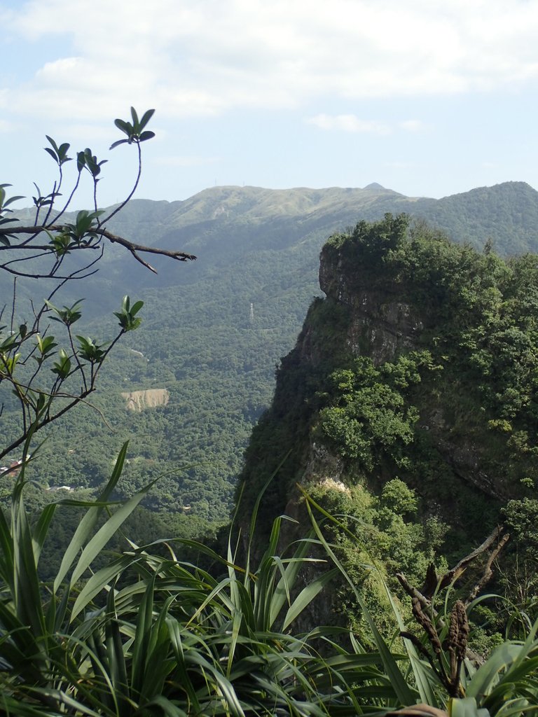 PA285460.JPG - 侯硐  獅子嘴奇岩