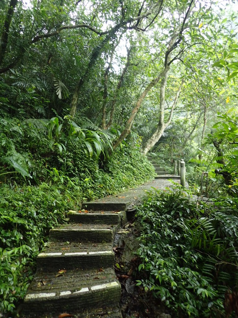 P4051053.JPG - 深坑  炮子崙登山步道