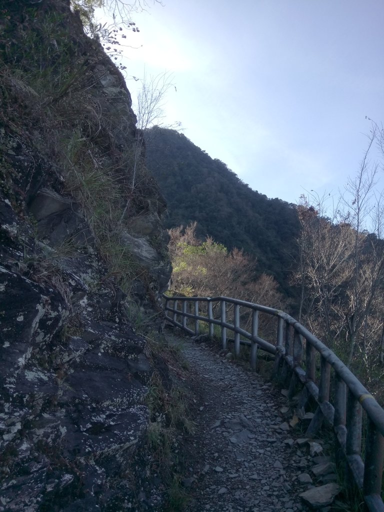 DSC_9044.JPG - 東埔  八通關古道