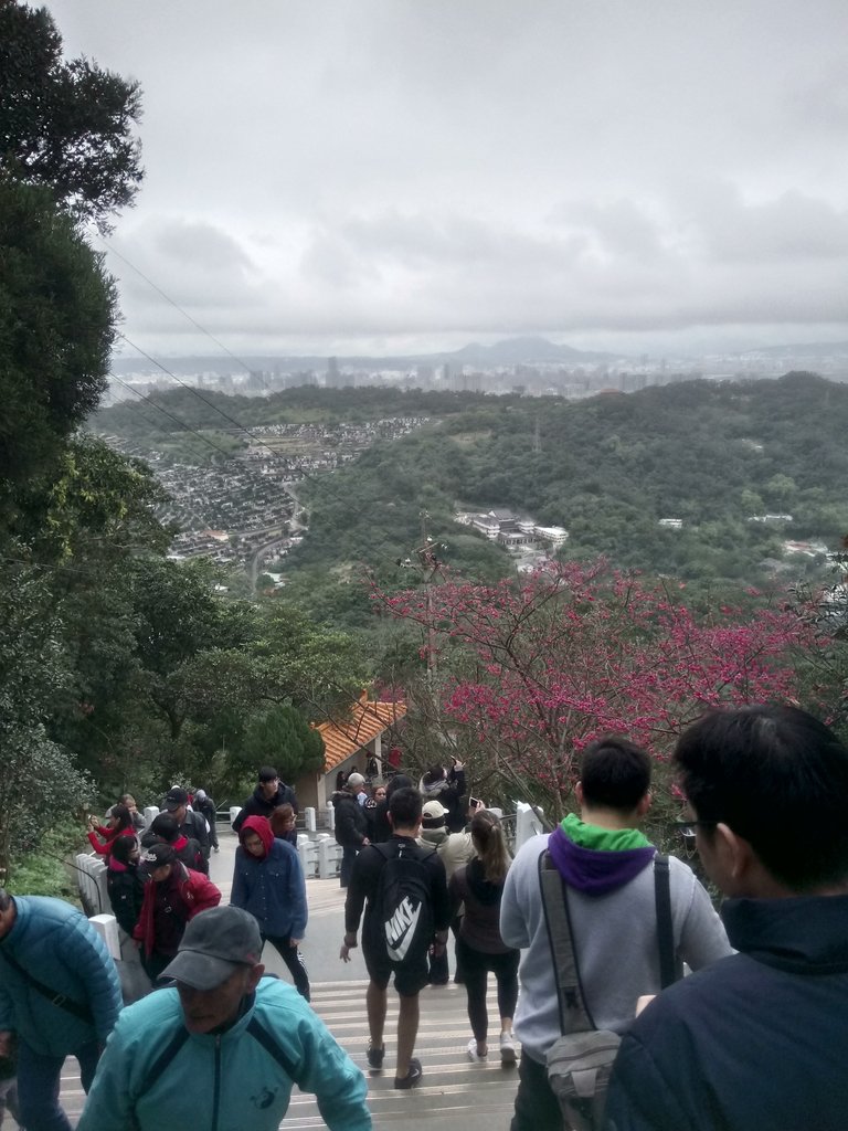 DSC_5271.JPG - 中和  南勢角山  (烘爐地)