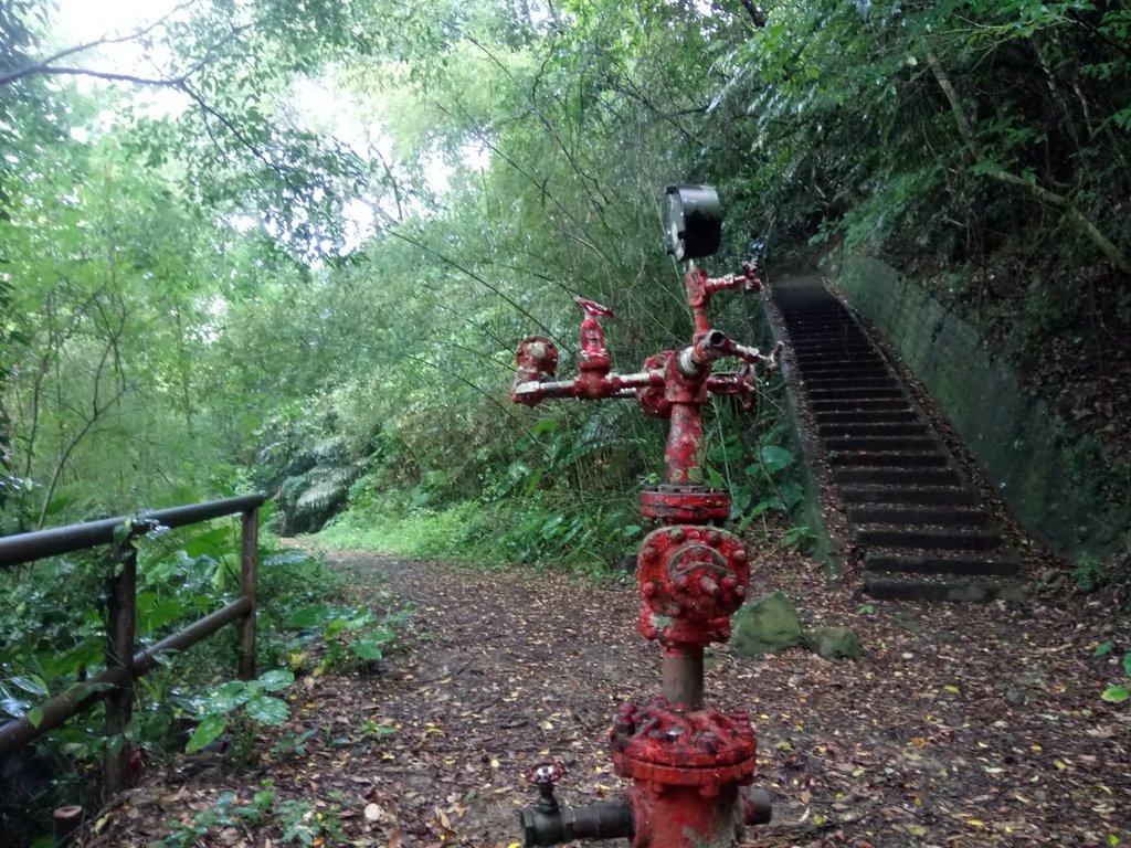 DSC_9624.JPG - 公館  出礦坑登山步道