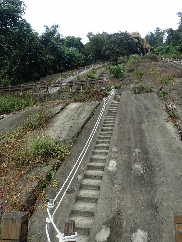 PA231651.JPG - 草嶺  茄苳步道  峭壁雄風