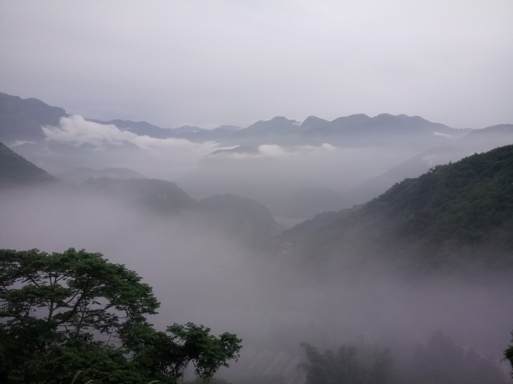 DSC_1385.JPG - 石壁途中之   茶山雲雨