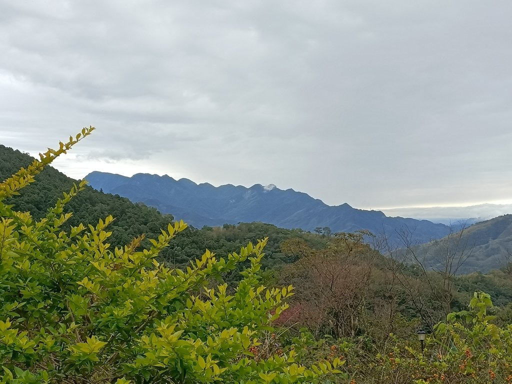 IMG20201215114523.jpg - 東眼山  東滿步道