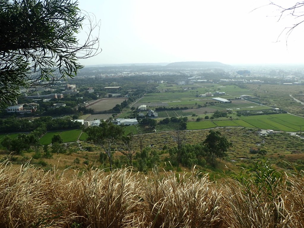 PA160951.JPG - 大甲  鐵砧山大草原