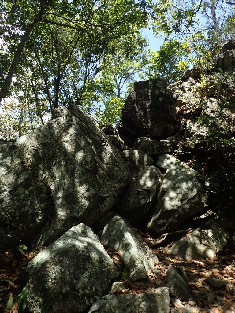 P5012359.JPG - 谷關七雄之  波津加山