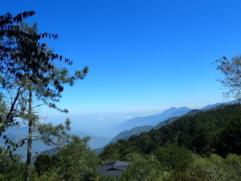 P3268086.JPG - 鹿林山  麟趾山步道  (01)