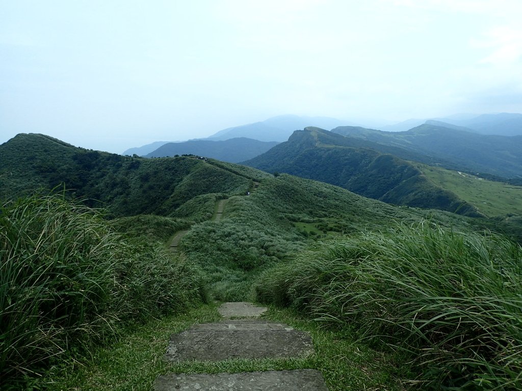 P5258786.JPG - 貢寮  桃源谷  灣坑頭山