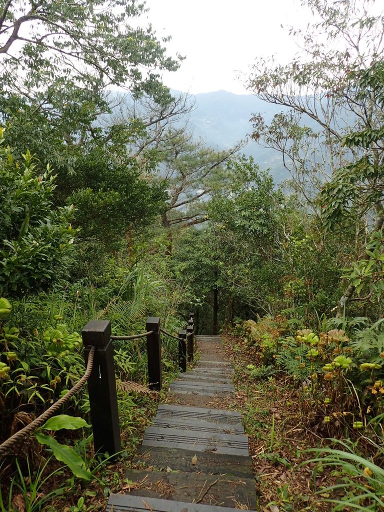 P3170392.JPG - 坪林  鬼子賴尖山