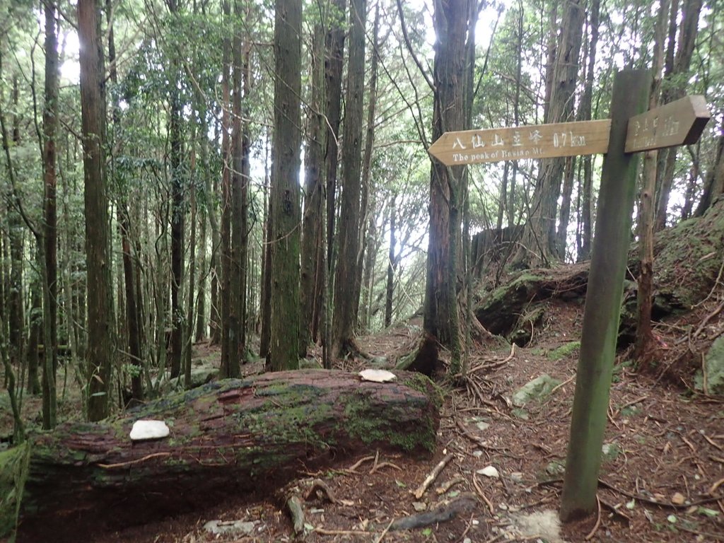 P6160638.JPG - 谷關七雄之  八仙山  (02)