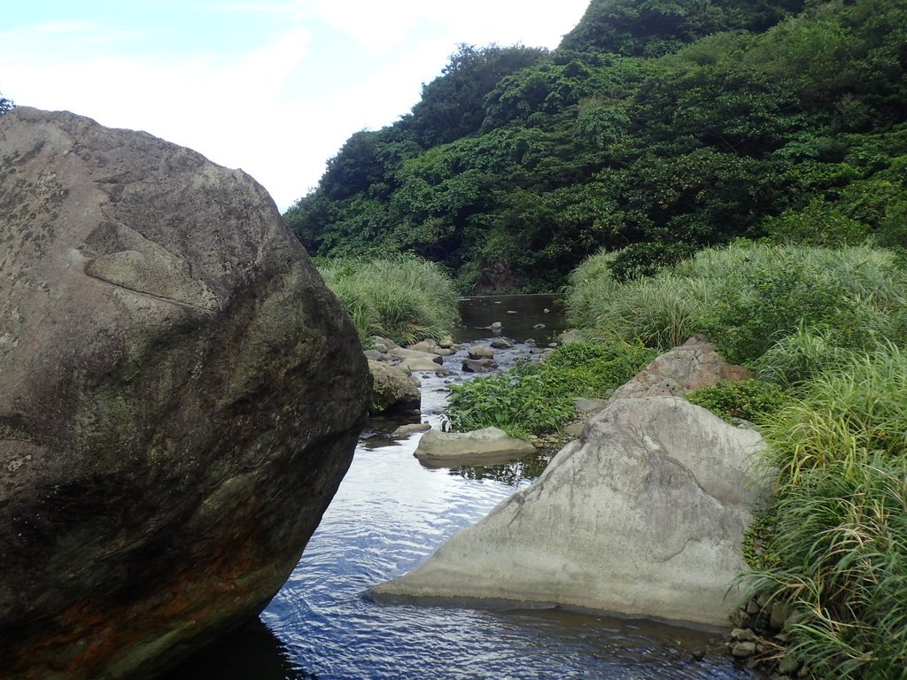 P8317603.JPG - 瑞芳  雷霆岩下之  溪谷風情